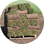 Boise Sod Lawn Grass Icon