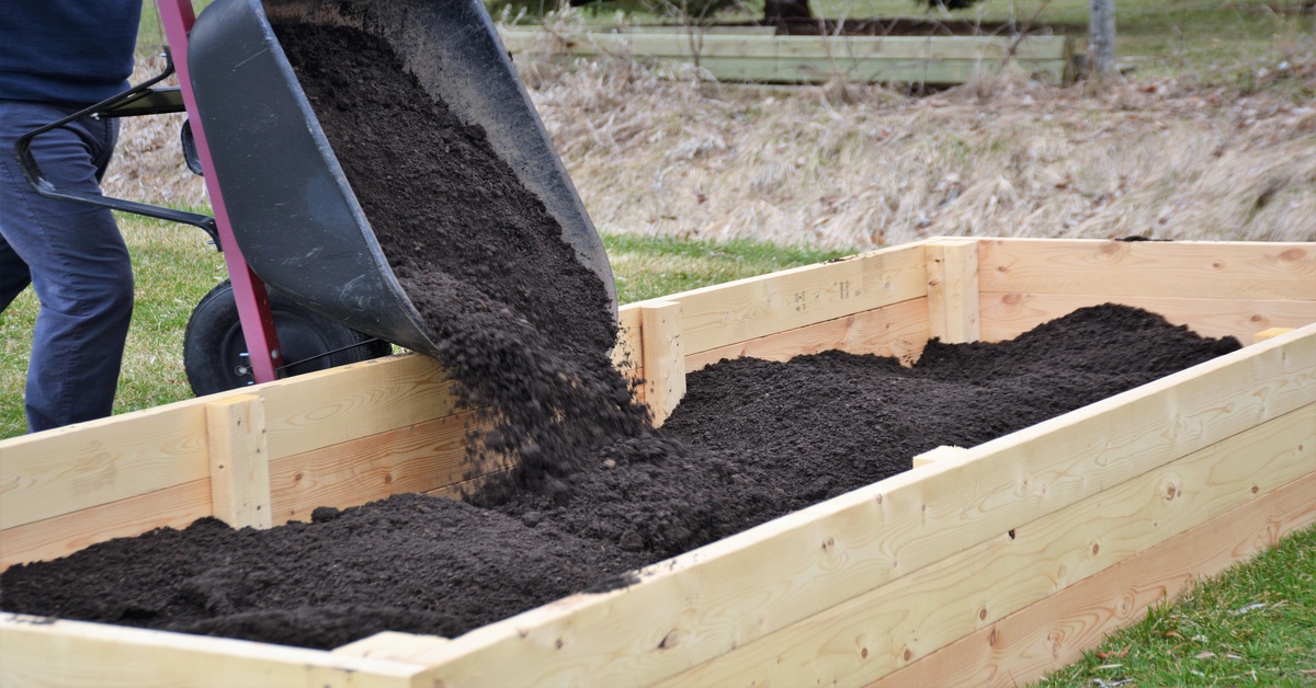 A person tips a wheel barrel of fresh garden soil into their wooden garden box. The wheel barrel is on its side.