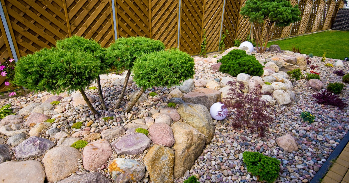 A backyard garden bed with landscape rocks, small bushes, and a wooden privacy fence behind the bed.