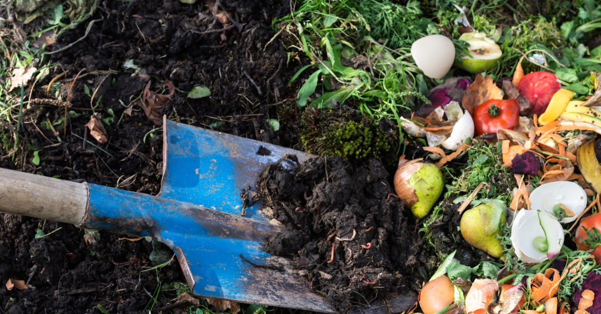 A close-up of a blue shovel digging into a pile of fresh compost. There are food scraps off to the side of the pile.