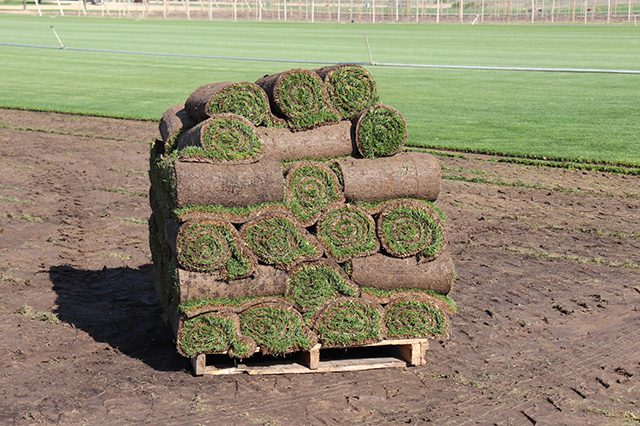 sod-boise-idaho