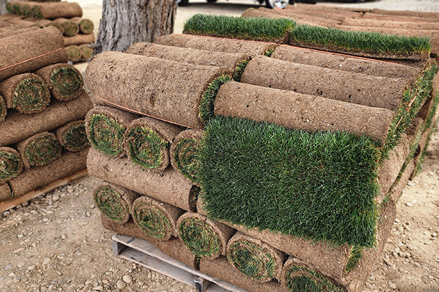 sod-boise