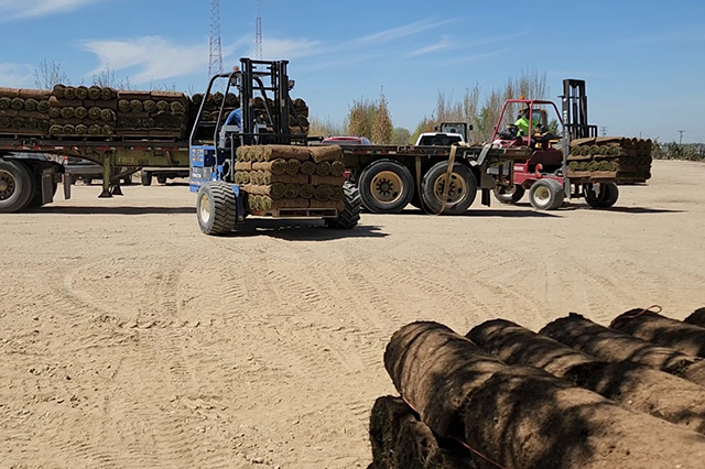 sod-delivery-boise