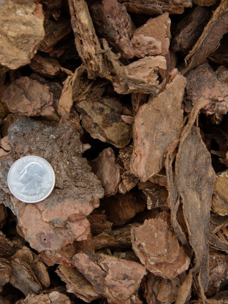 Medium-Chunk-Bark